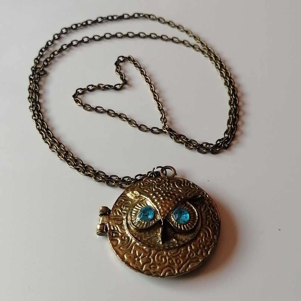 Vintage Steampunk Blue Eyes Owl Locket Necklace